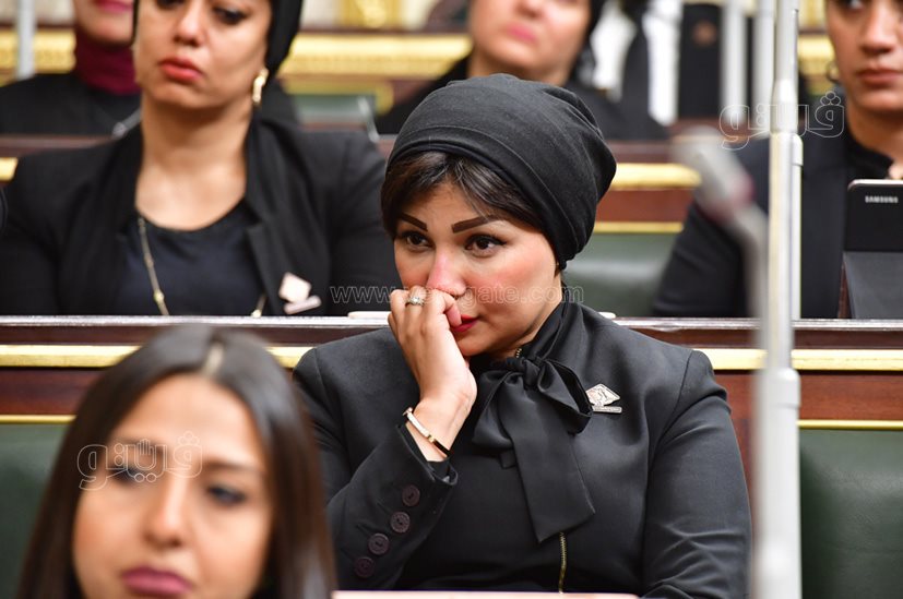 مجلس النواب (53)