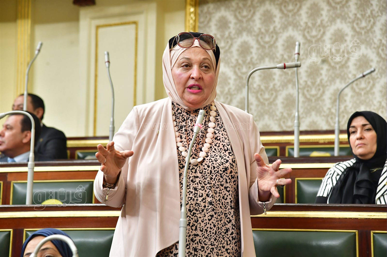 مجلس النواب (7)