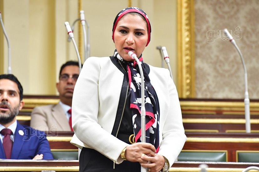 مجلس النواب (22)