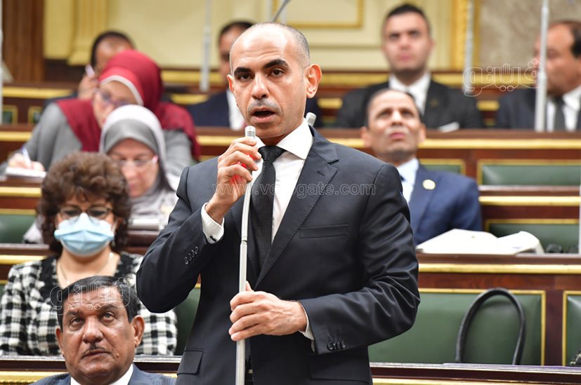 مجلس النواب (48)