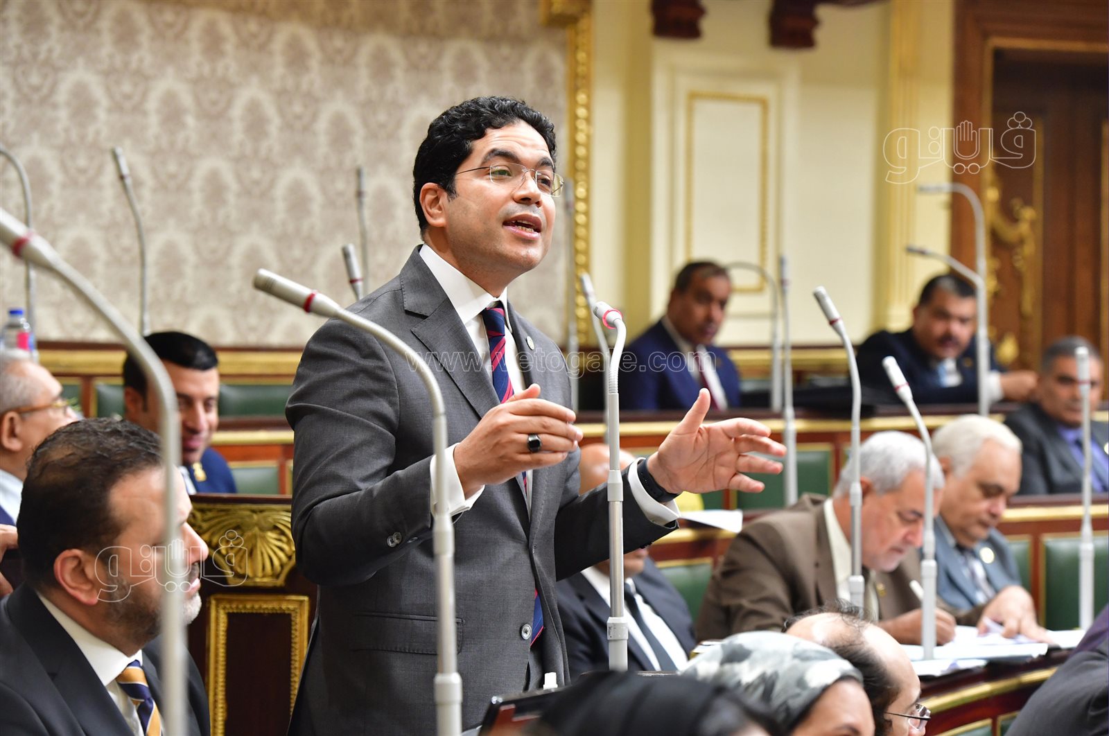 مجلس النواب (61)