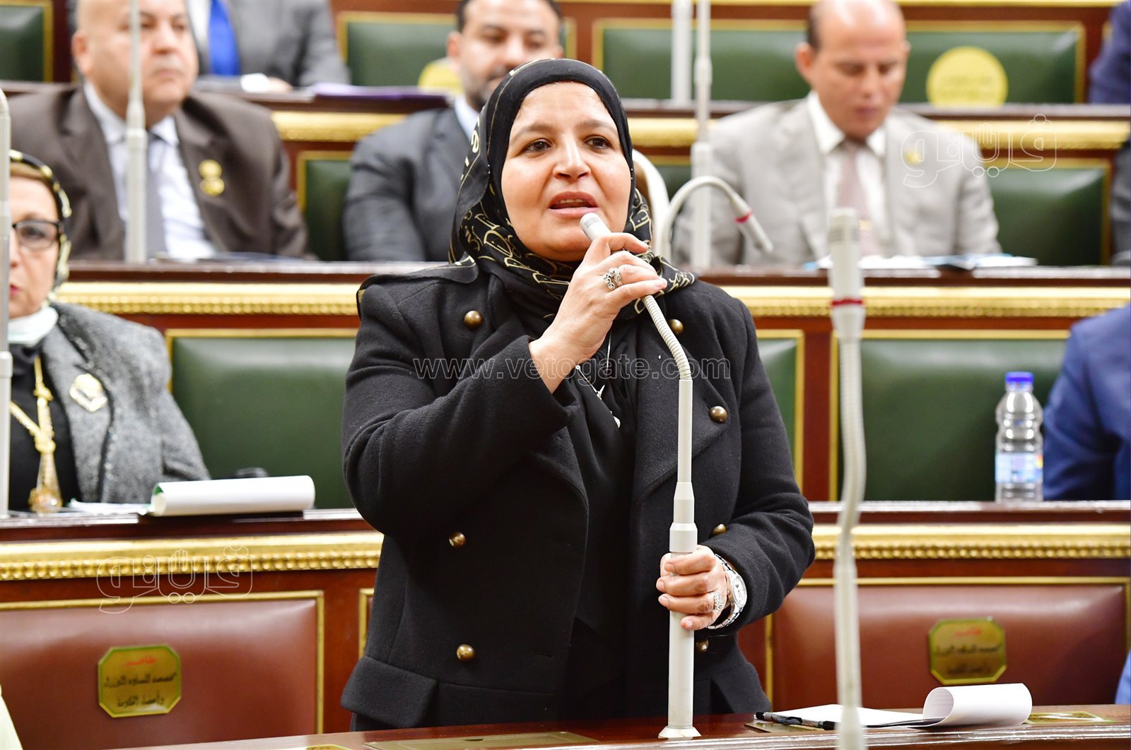 مجلس النواب (64)