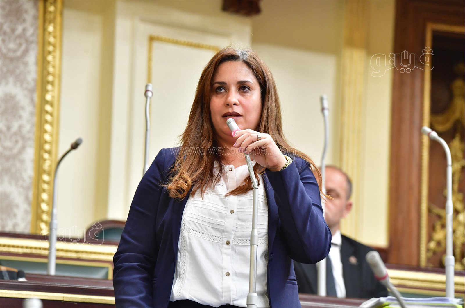 مجلس النواب (9)