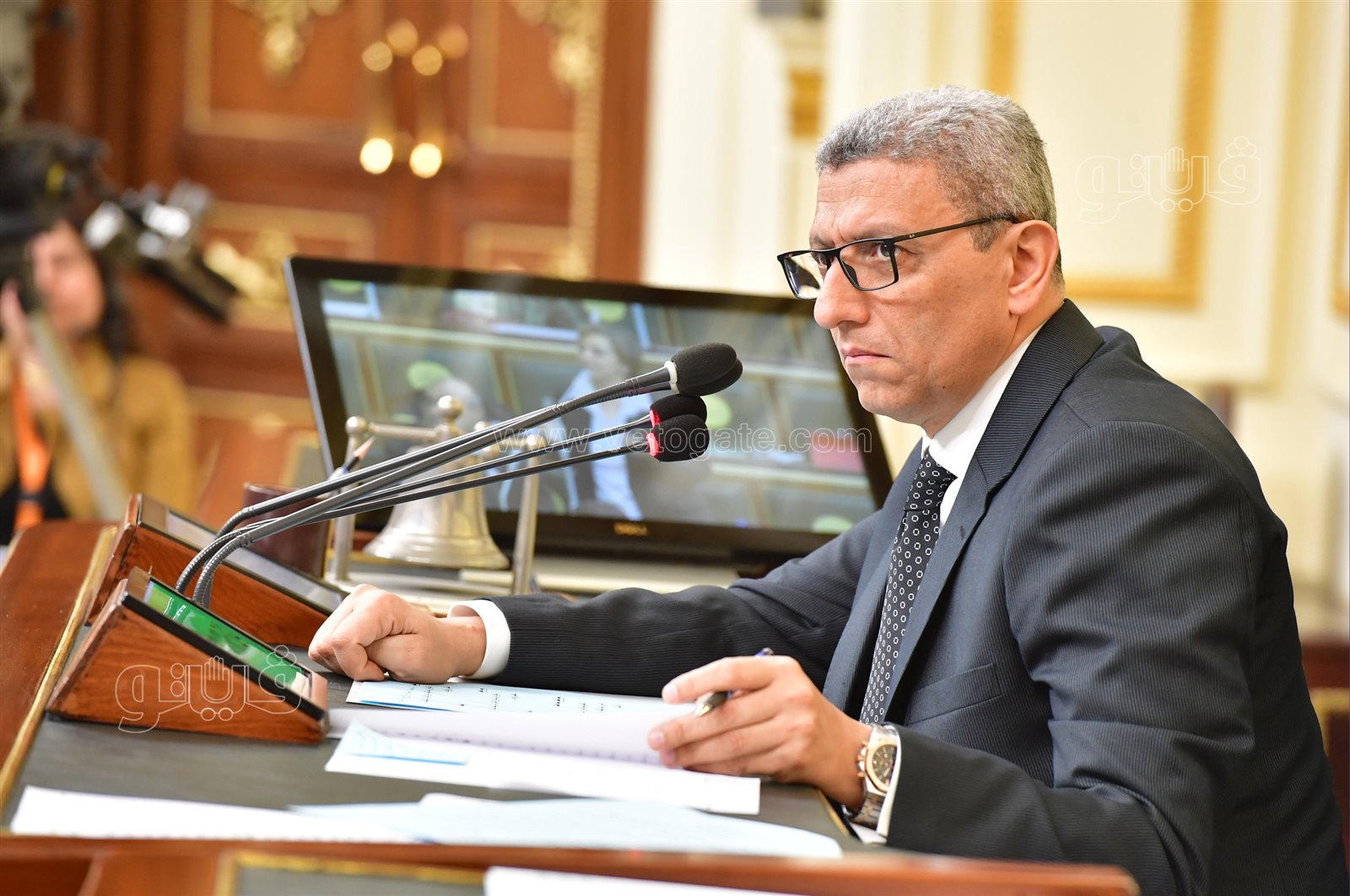 مجلس النواب (12)