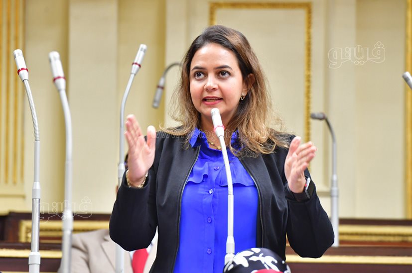 مجلس النواب (13)