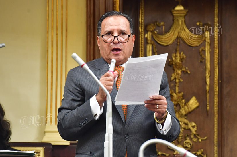 مجلس النواب (29)