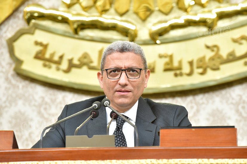 مجلس النواب (31)