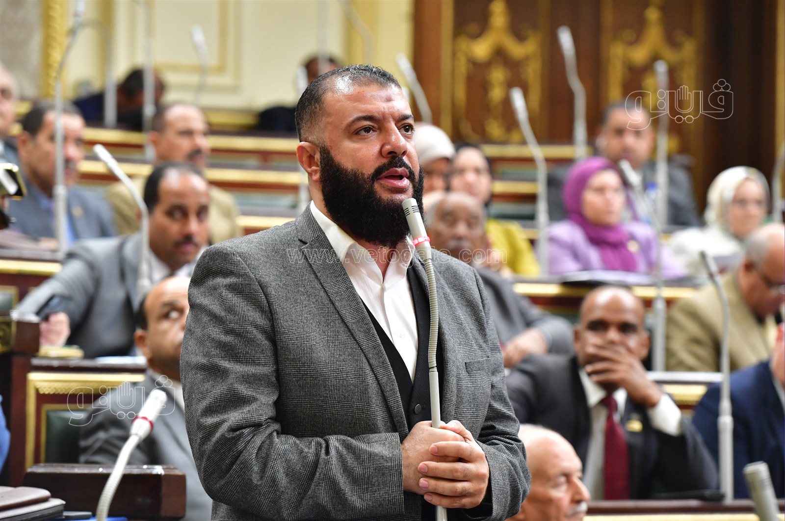 مجلس النواب (63)