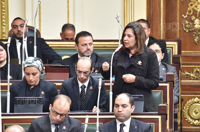 مجلس النواب (59)