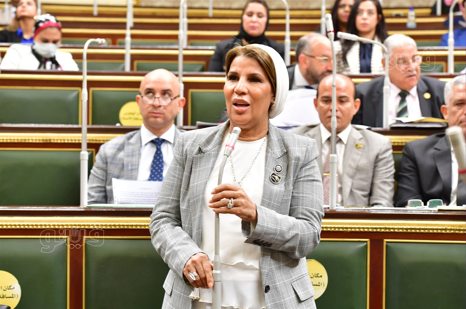 مجلس النواب (18)