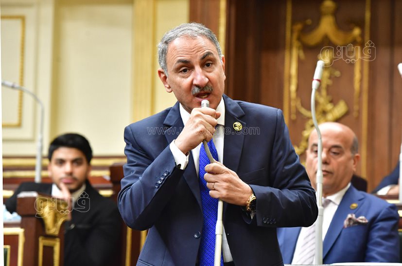 مجلس النواب (32)