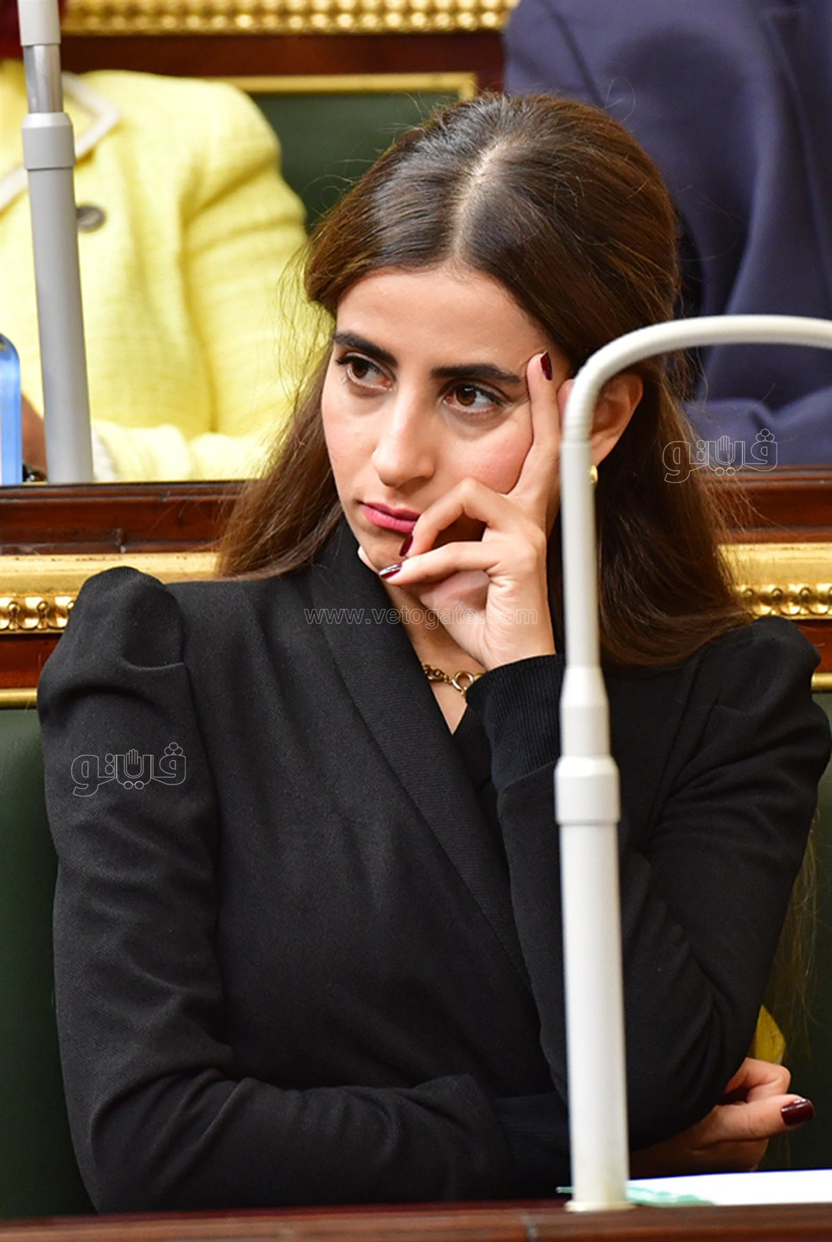 مجلس النواب (65)