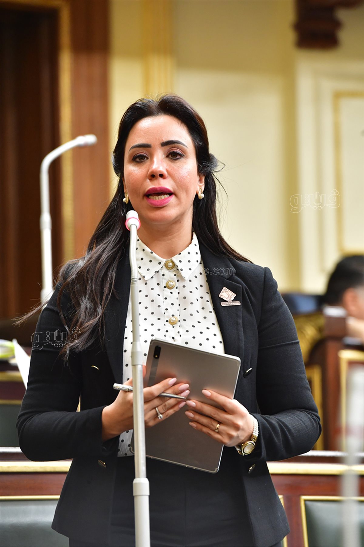 مجلس النواب (30)