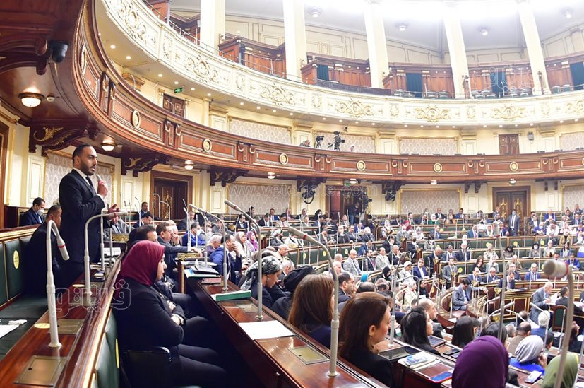 مجلس النواب (51)