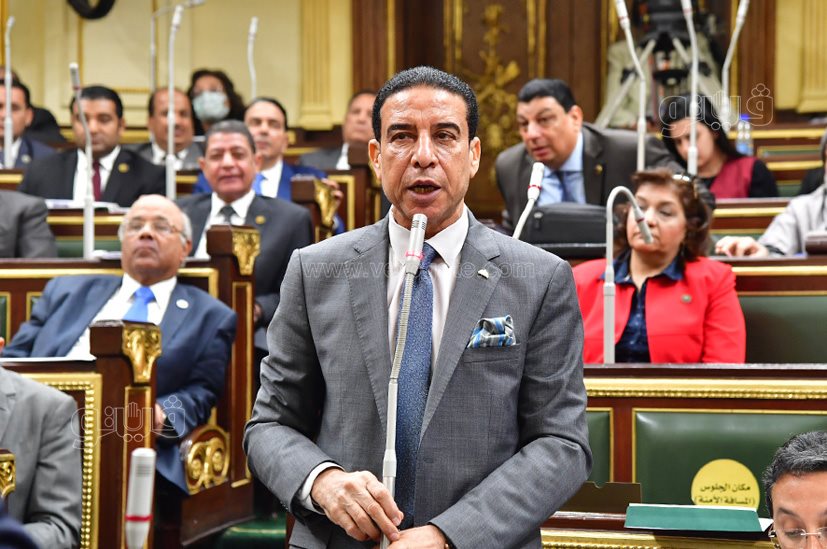 مجلس النواب (5)