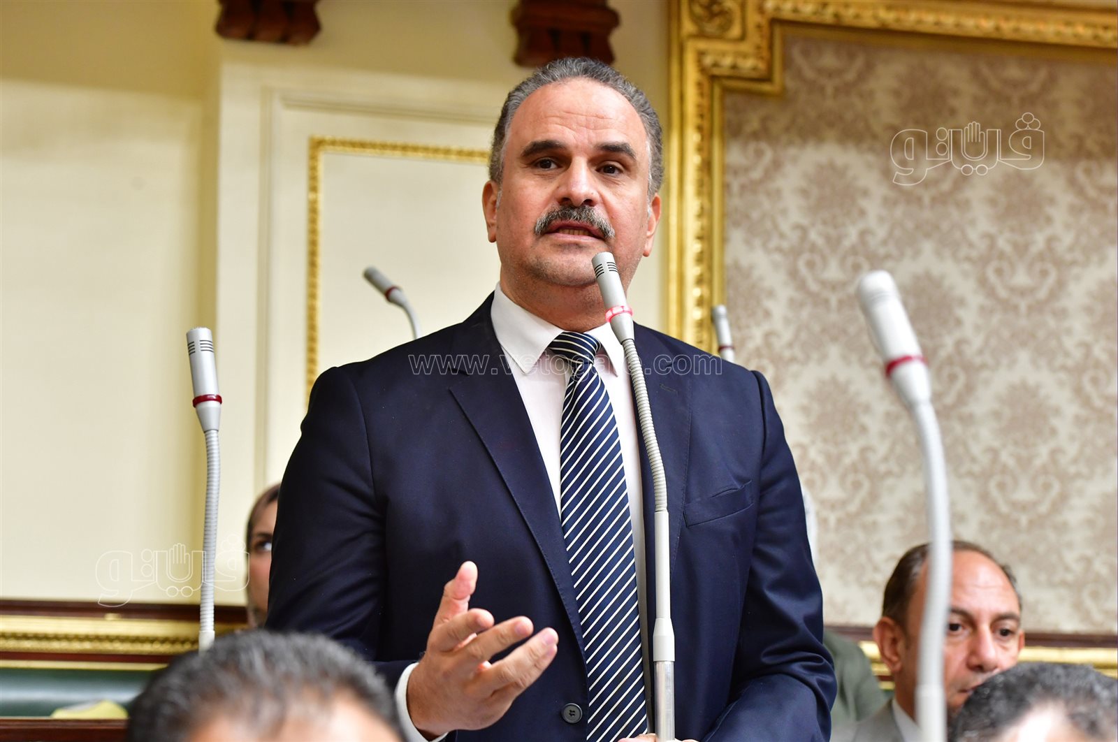 مجلس النواب (10)