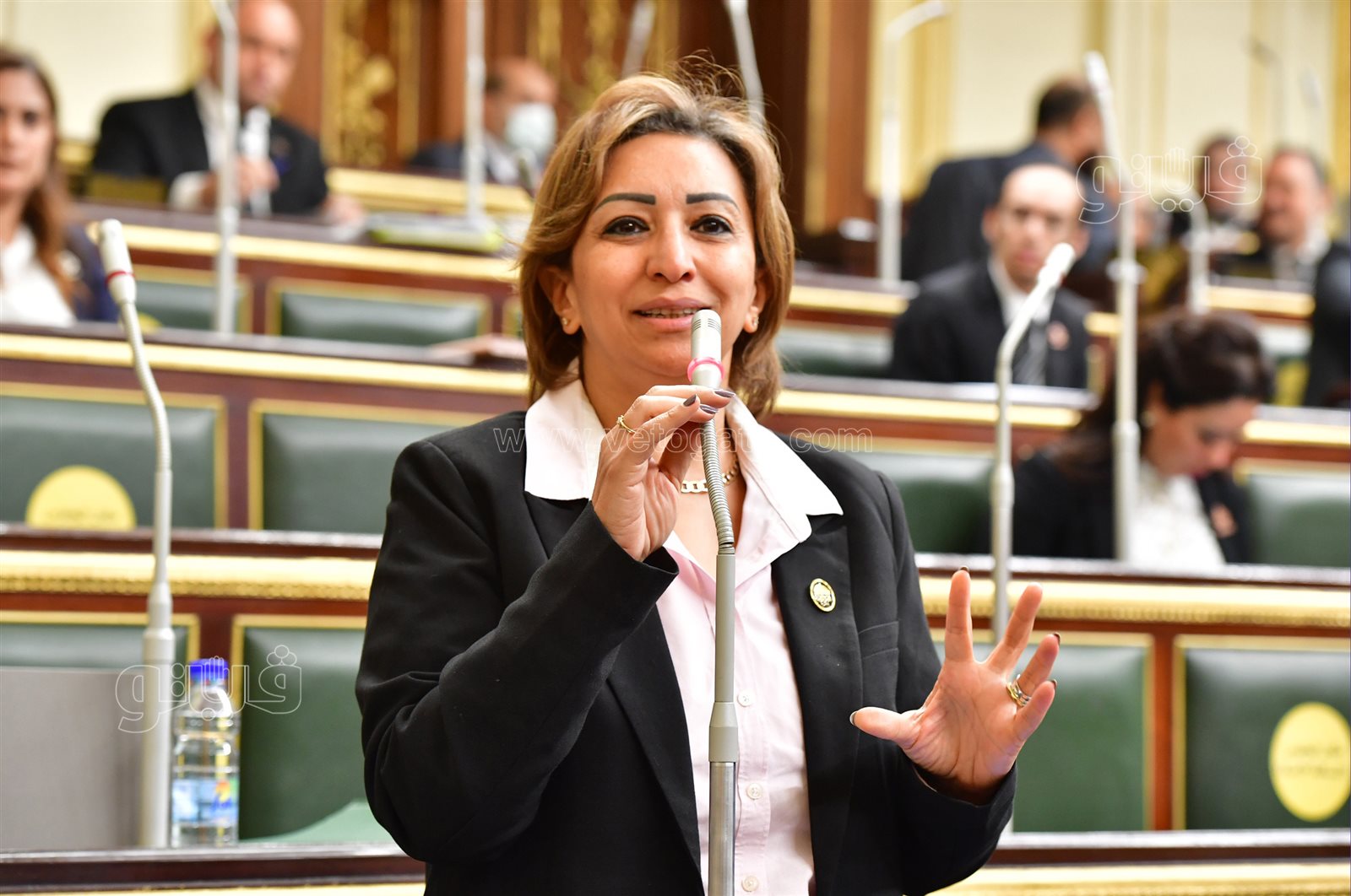 مجلس النواب (11)