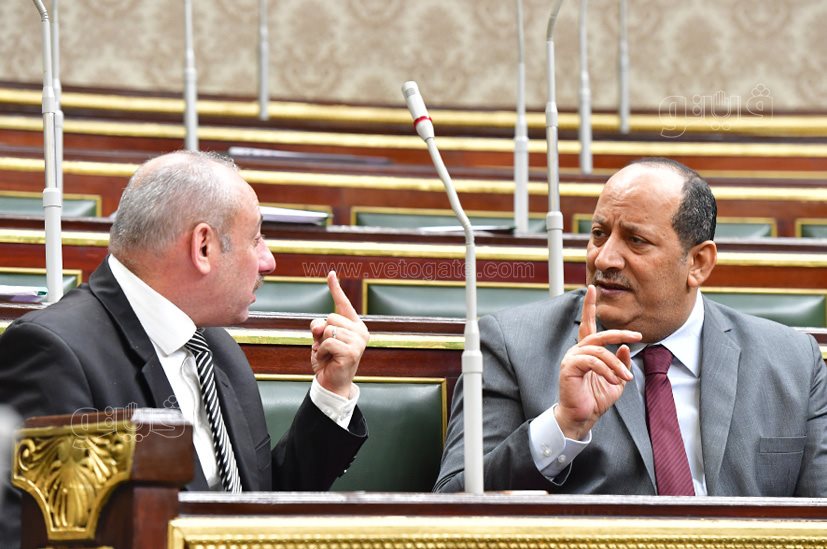 مجلس النواب (34)