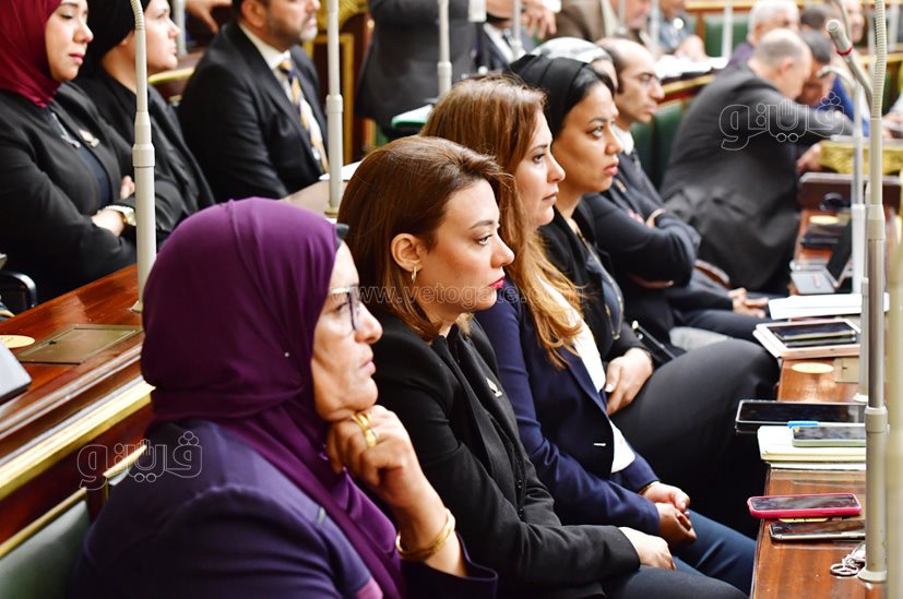 مجلس النواب (62)