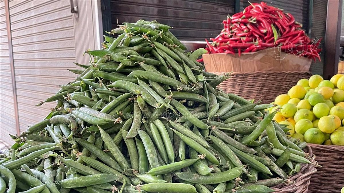 <strong>اسعار الخضار </strong>