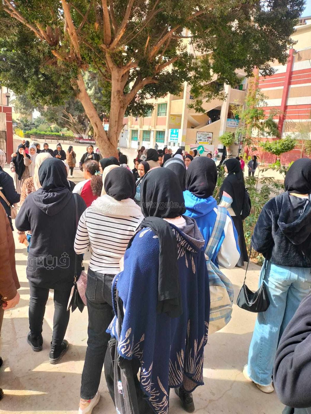 شكاوى طلاب الشهادة الإعدادية بالشرقية من صعوبة الامتحان،فيتو