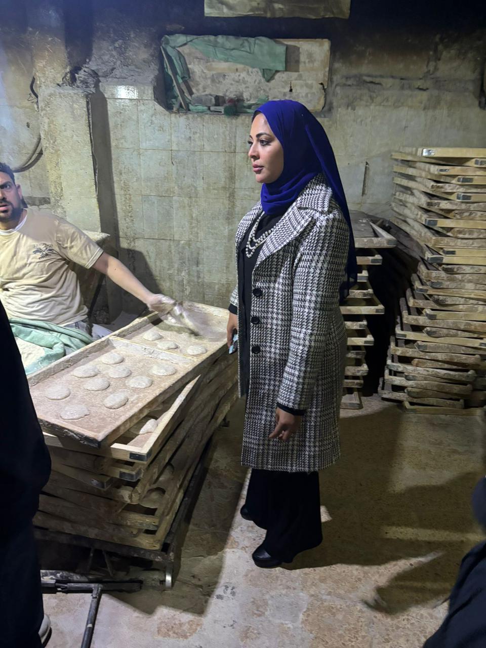 جانب من الحملات،فيتو