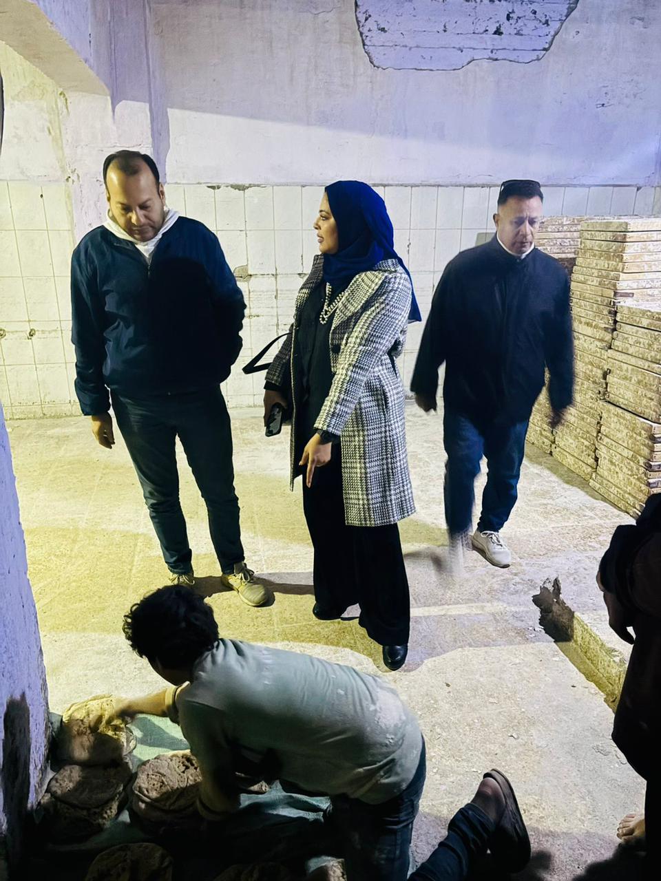 جانب من الحملات،فيتو