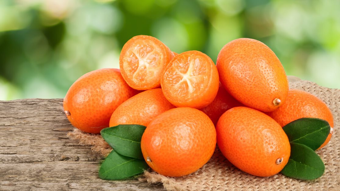 <strong>أسعار الفاكهة اليوم </strong>