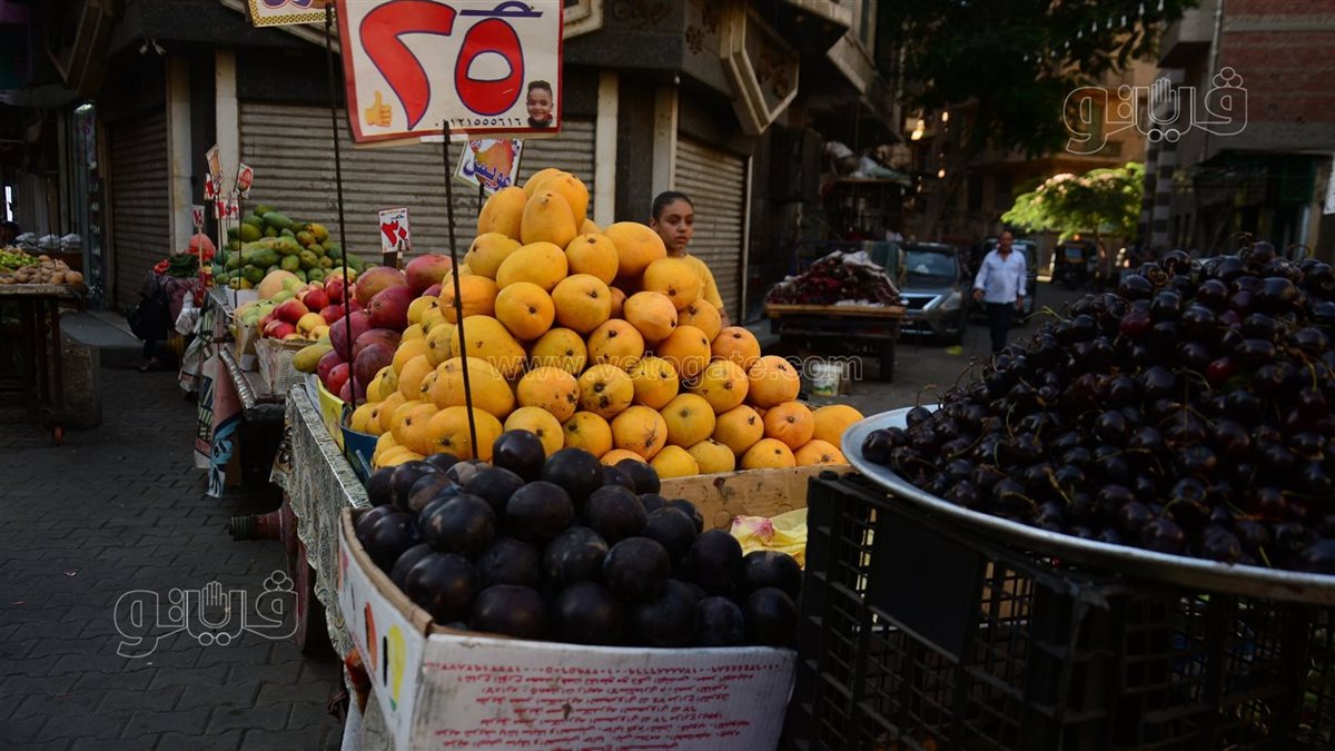 <strong>أسعار الفاكهة اليوم </strong>