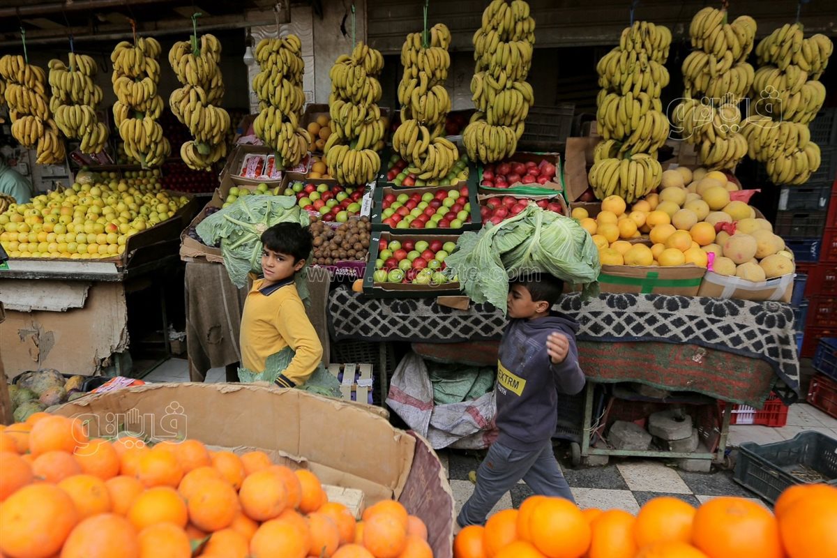 <strong>أسعار الفاكهة اليوم </strong>