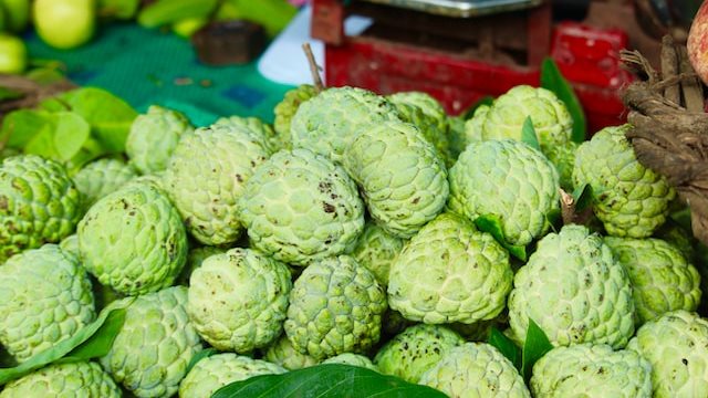 <strong>أسعار الفاكهة اليوم </strong>