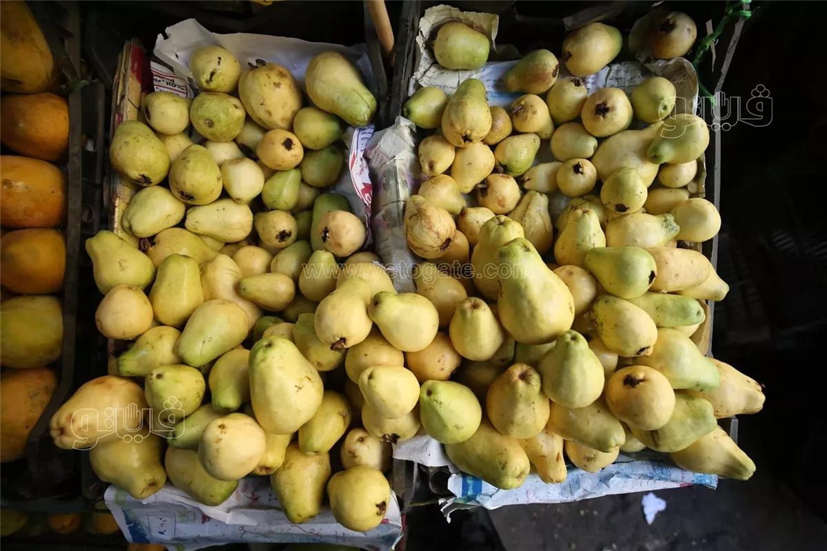 <strong>أسعار الفاكهة اليوم </strong>