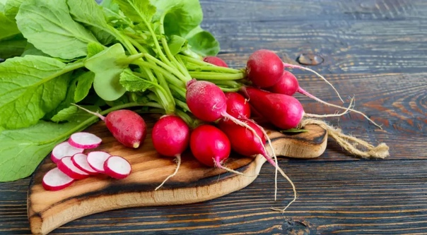 فوائد الفجل