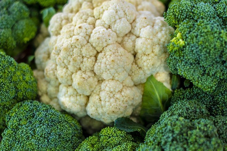 <strong>سعر الخضار اليوم</strong>