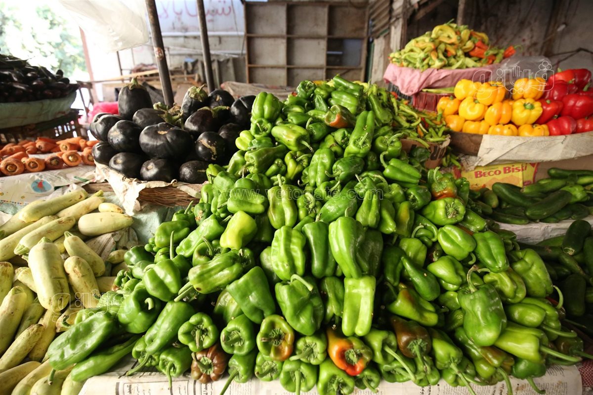 <strong>سعر الخضار اليوم</strong>