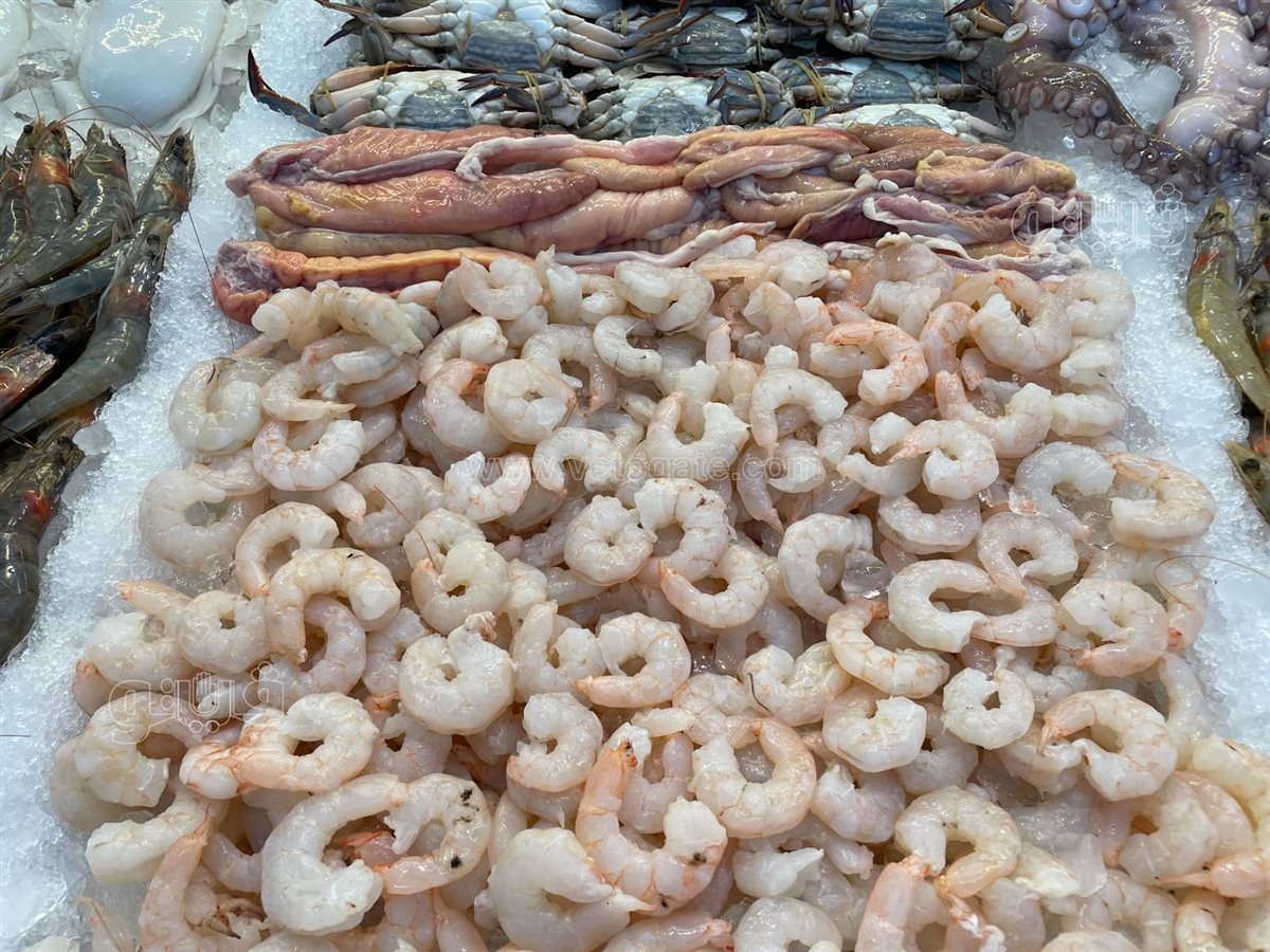 <strong>اسعار السمك </strong>