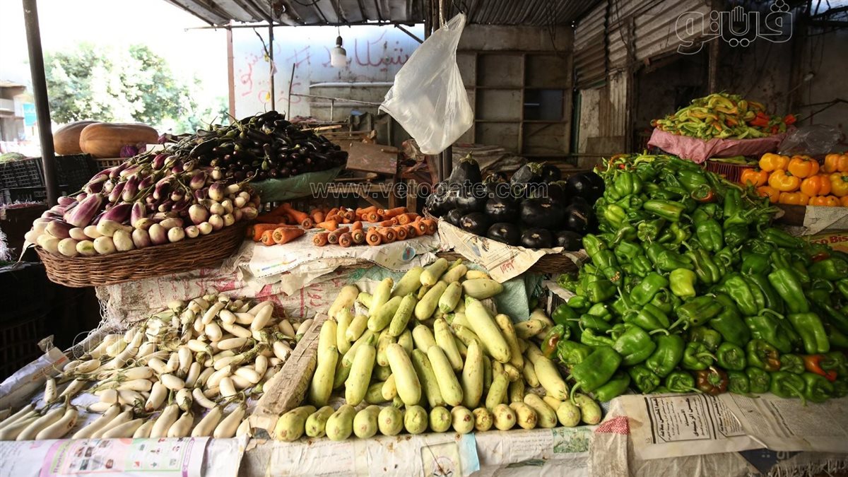 <strong>سعر الخضار اليوم</strong>