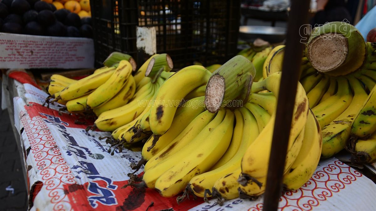 <strong>أسعار الفاكهة اليوم </strong>