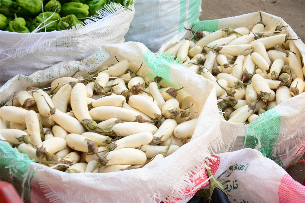 سعر الخضار اليوم