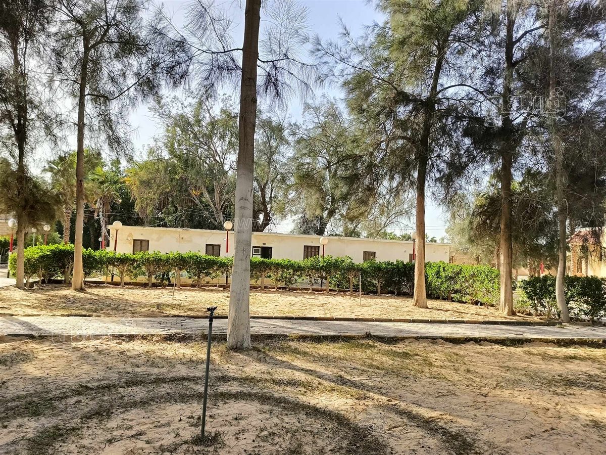 تزويد هذه البرك بمجموعة من الشاليهات واللبد وتأجيرها لنادي الصيد،فيتو