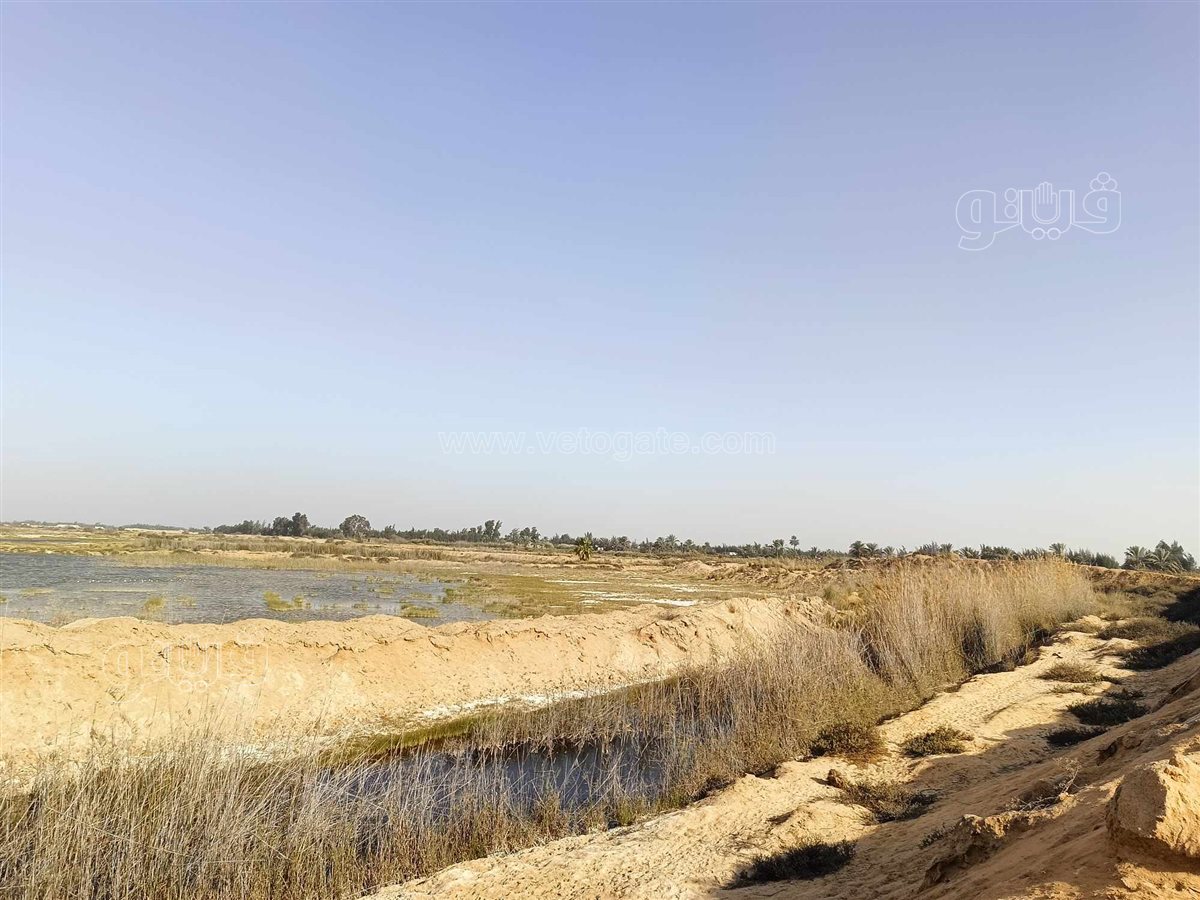 برك الشرقية،قبلة الملوك والرؤساء ومحبي وهواة صيد البط المهاجر من أوروبا،فيتو3