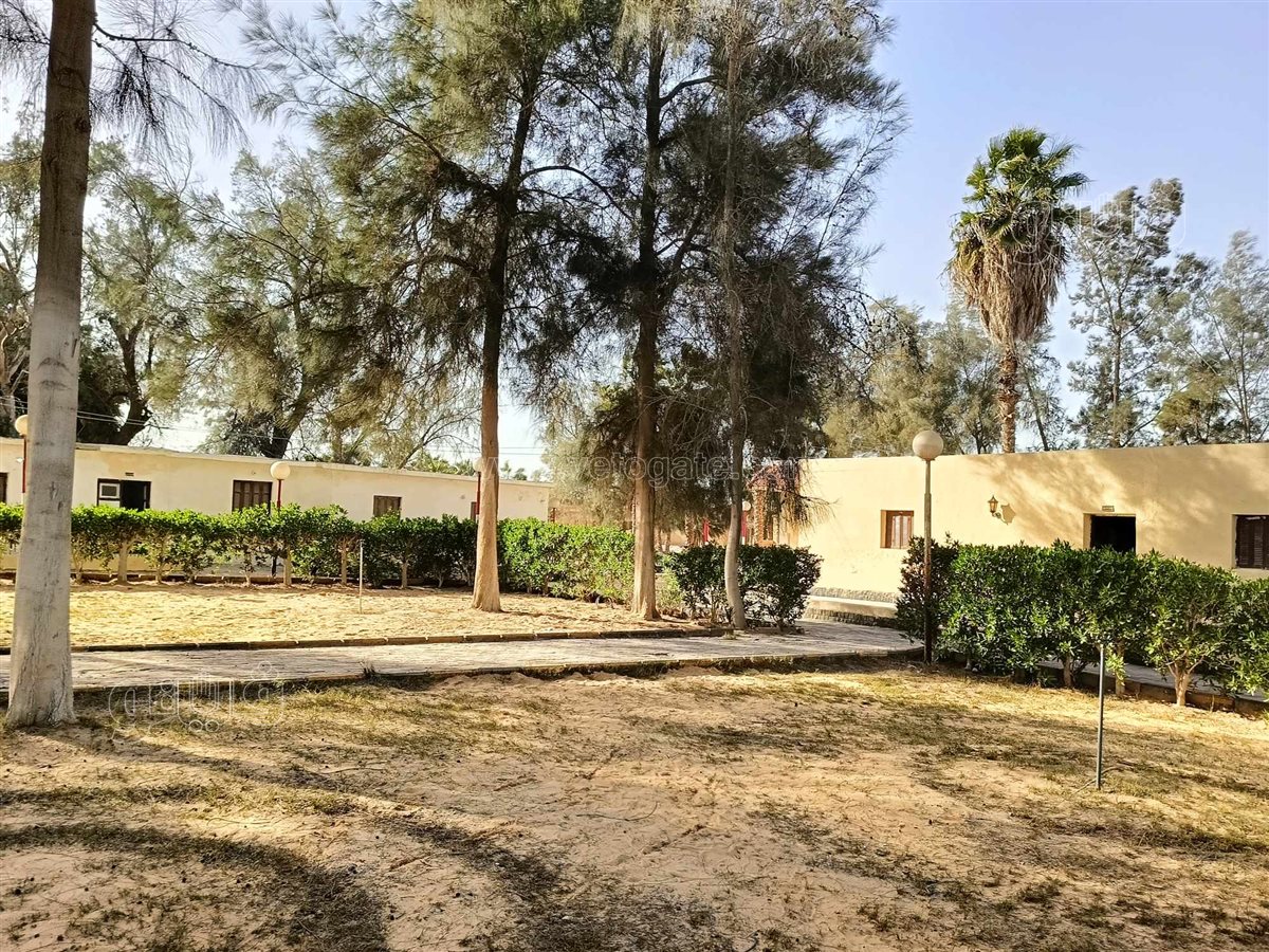 شاليهات محبي هواة الصيد،فيتو4