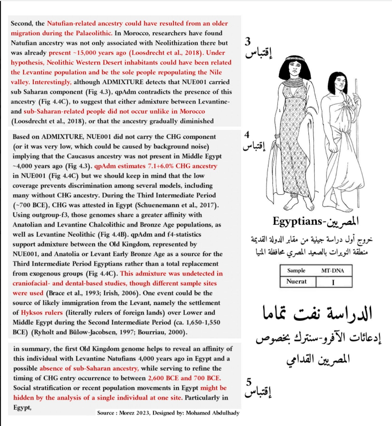 الدراسة الحديثة في أصول المصريين، فيتو