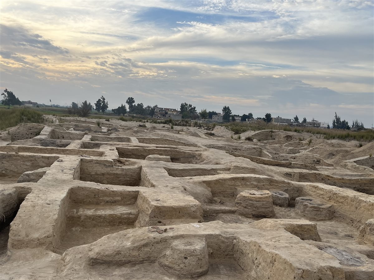 منطقة أثار تل الابقعين بمحافظة البحيرة، فيتو