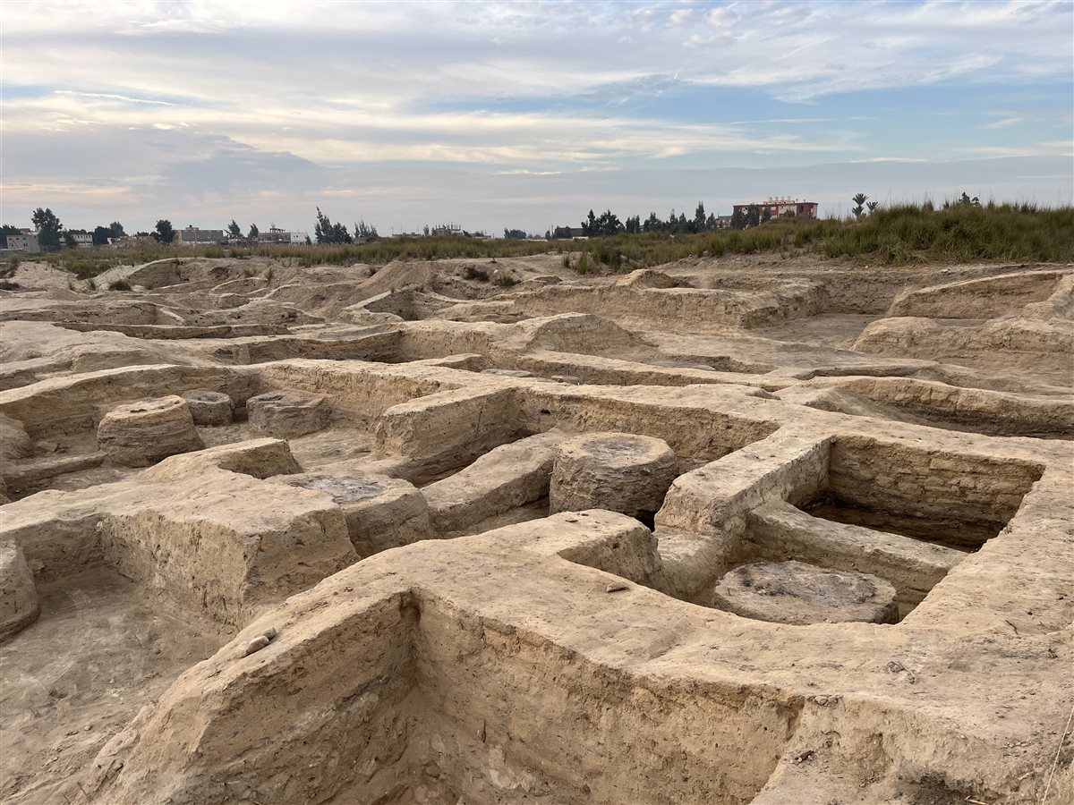 منطقة أثار تل الابقعين بمحافظة البحيرة، فيتو