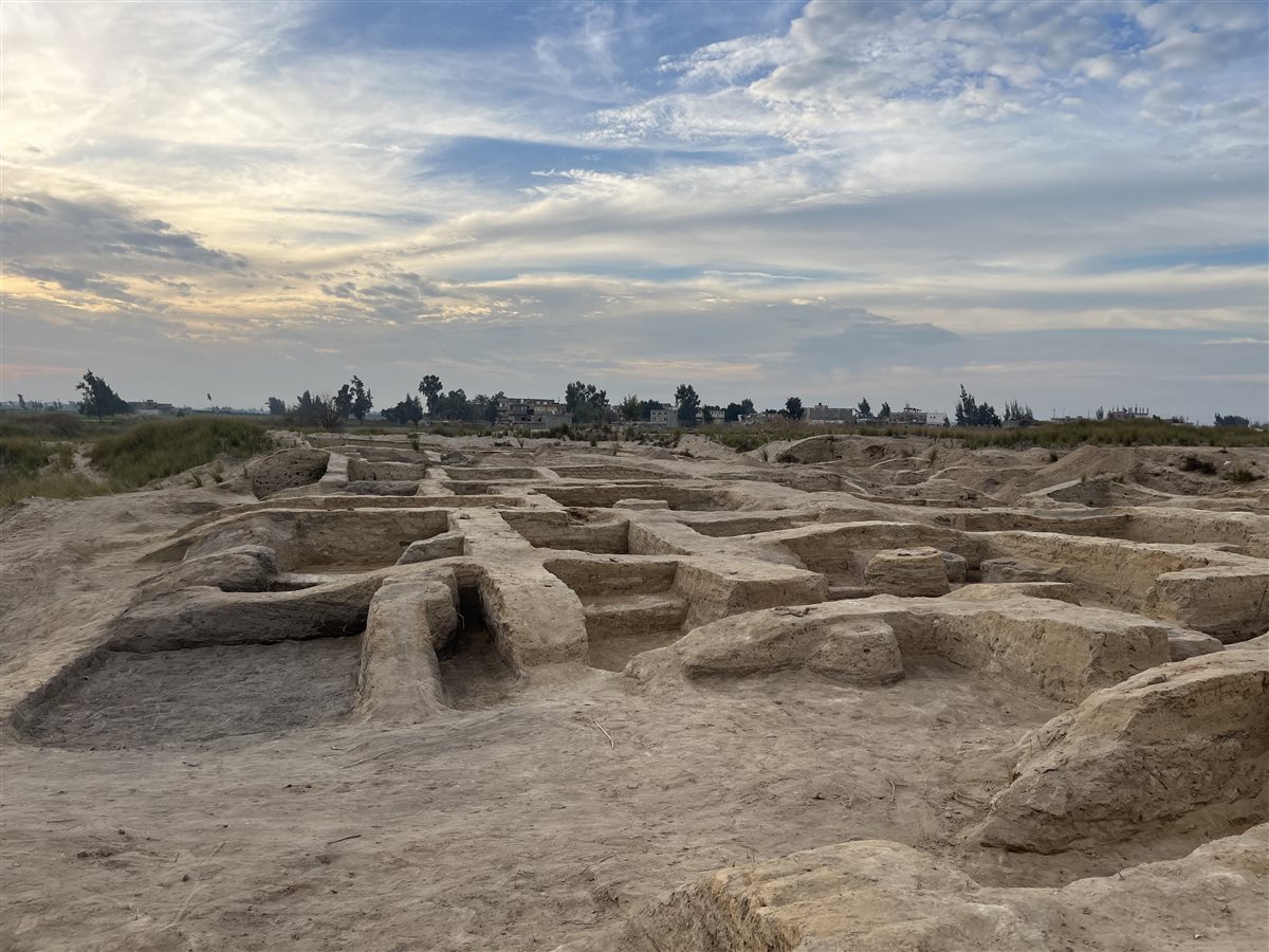 منطقة أثار تل الابقعين بمحافظة البحيرة، فيتو