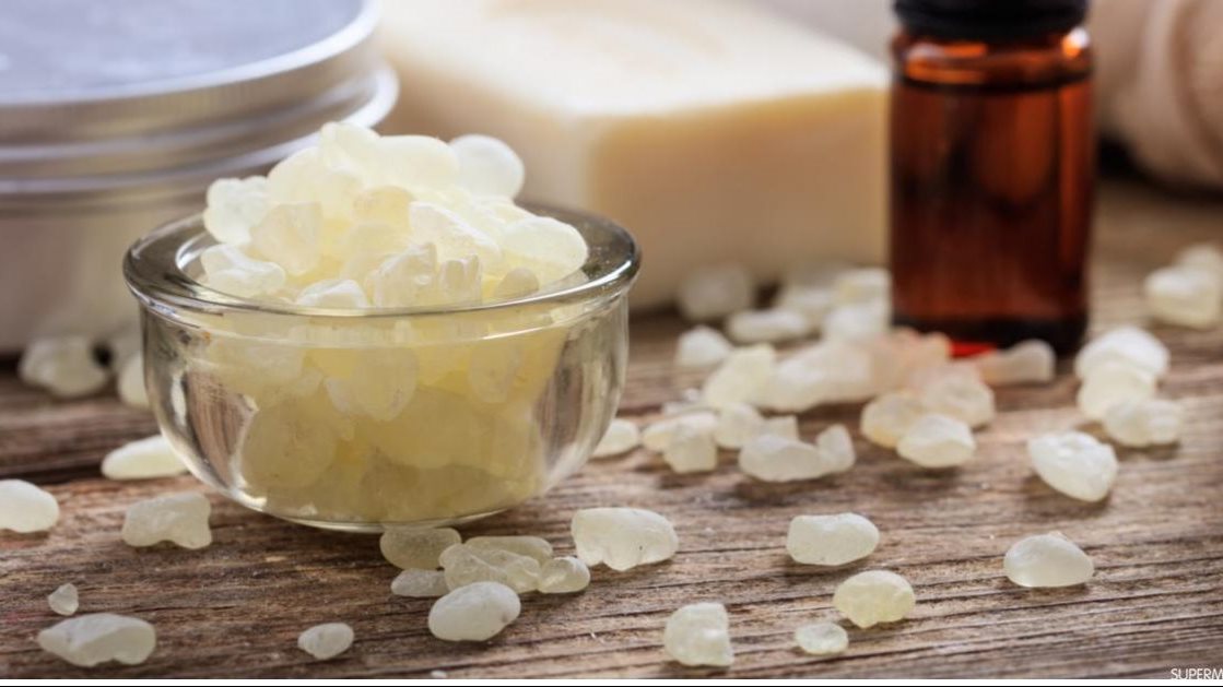 فوائد المستكة