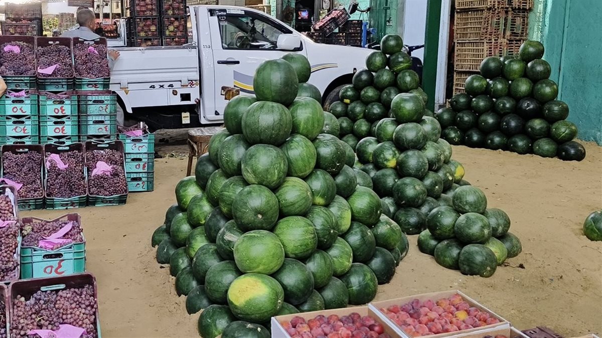 <strong>أسعار الفاكهة</strong>