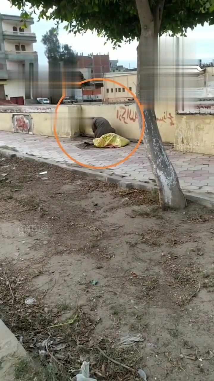  لص يسرق حديد كورنيش بالشرقية في عزالضهر،فيتو