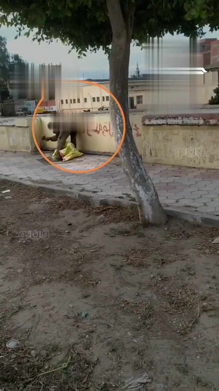  لص يسرق حديد كورنيش بالشرقية في عزالضهر،فيتو1